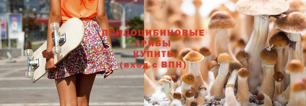кокс Елизово