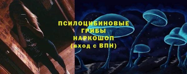 прущая мука Ельня