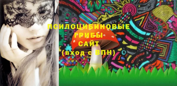 кокс Елизово