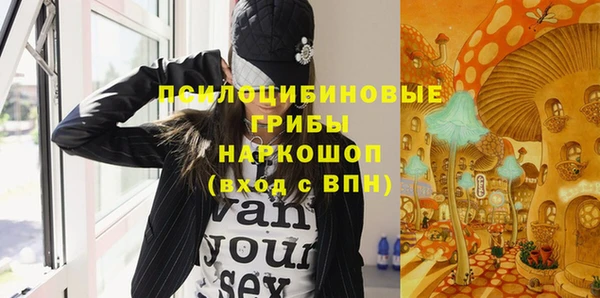 кокс Елизово