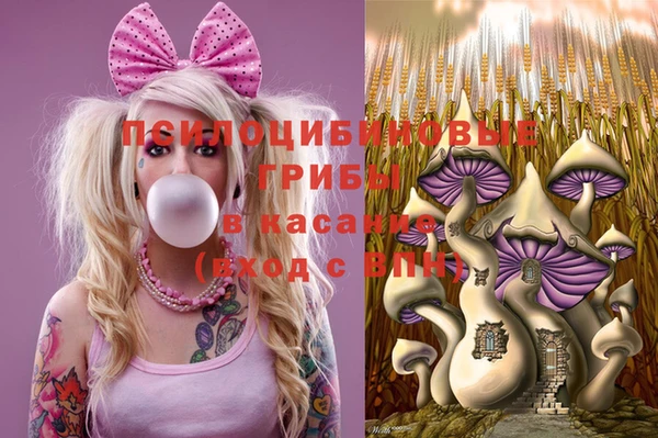 кокс Елизово