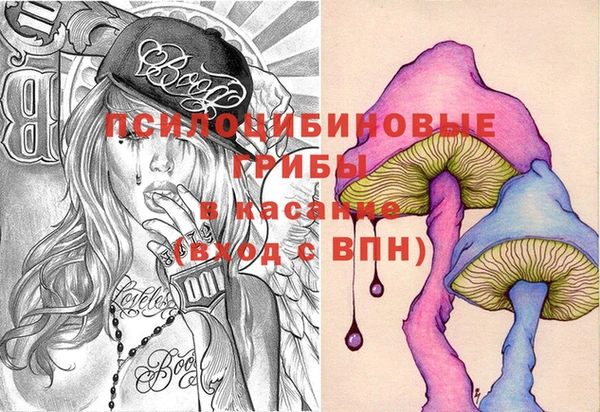 прущая мука Ельня