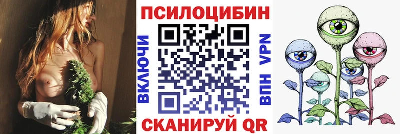 Купить где  Дубовка  Галлюциногенные грибы Magic Shrooms 